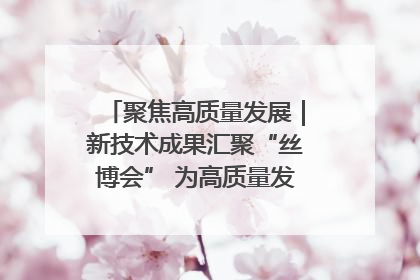 聚焦高质量发展｜新技术成果汇聚“丝博会” 为高质量发展注入新动能