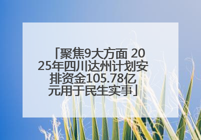 聚焦9大方面 2025年四川达州计划安排资金105.78亿元用于民生实事