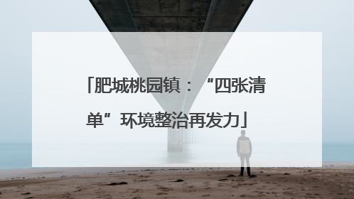 肥城桃园镇：“四张清单”环境整治再发力
