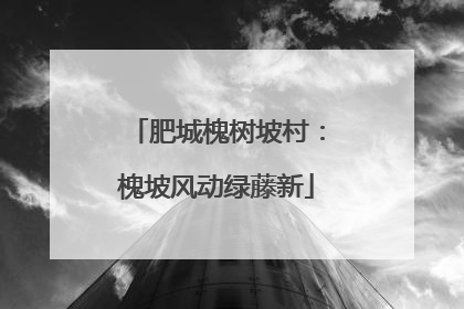 肥城槐树坡村：槐坡风动绿藤新