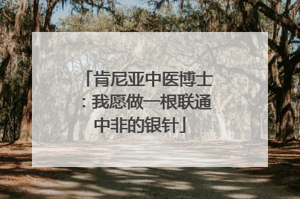 肯尼亚中医博士：我愿做一根联通中非的银针