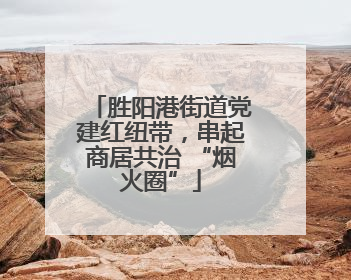 胜阳港街道党建红纽带，串起商居共治 “烟火圈”
