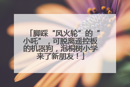 脚踩“风火轮”的“小吒”，可脱离遥控板的机器狗，泡桐树小学来了新朋友！