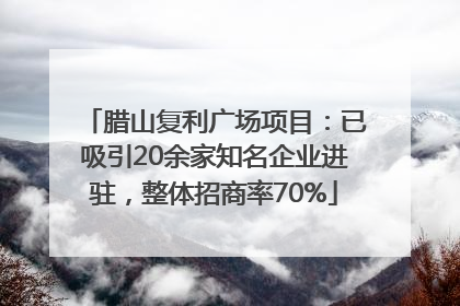 腊山复利广场项目：已吸引20余家知名企业进驻，整体招商率70%