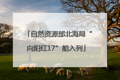 自然资源部北海局“向阳红17”船入列