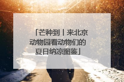 芒种到丨来北京动物园看动物们的夏日纳凉图鉴