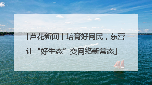 芦花新闻丨培育好网民，东营让“好生态”变网络新常态