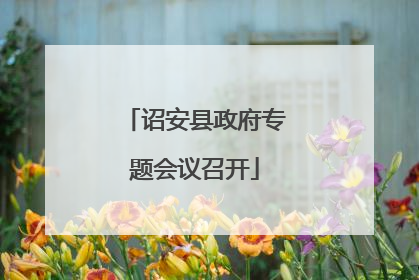 诏安县政府专题会议召开