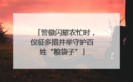 警徽闪耀农忙时，仪征多措并举守护百姓“粮袋子”
