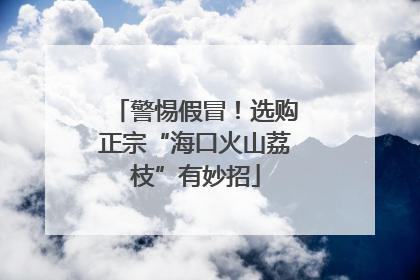 警惕假冒！选购正宗“海口火山荔枝”有妙招