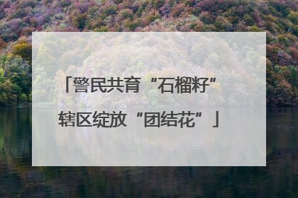 警民共育“石榴籽” 辖区绽放“团结花”