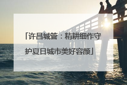 许昌城管：精耕细作守护夏日城市美好容颜