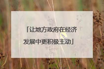 让地方政府在经济发展中更积极主动