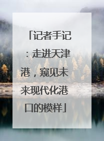 记者手记：走进天津港，窥见未来现代化港口的模样