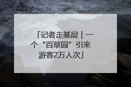 记者走基层｜一个“百草园”引来游客2万人次