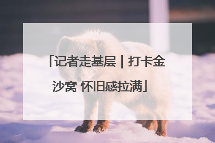 记者走基层｜打卡金沙窝 怀旧感拉满