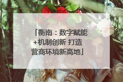 衡南：数字赋能+机制创新 打造营商环境新高地