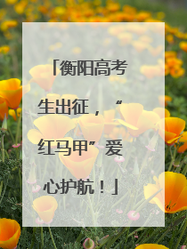衡阳高考生出征，“红马甲”爱心护航！