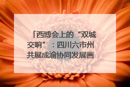 西博会上的“双城交响”：四川六市州共展成渝协同发展画卷｜西博视界