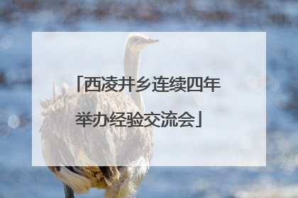 西凌井乡连续四年举办经验交流会
