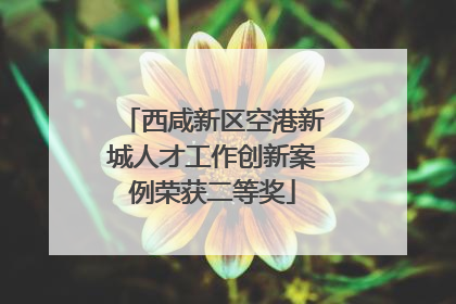 西咸新区空港新城人才工作创新案例荣获二等奖