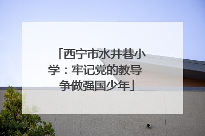 西宁市水井巷小学：牢记党的教导 争做强国少年