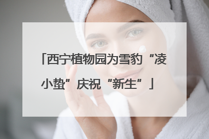 西宁植物园为雪豹“凌小蛰”庆祝“新生”