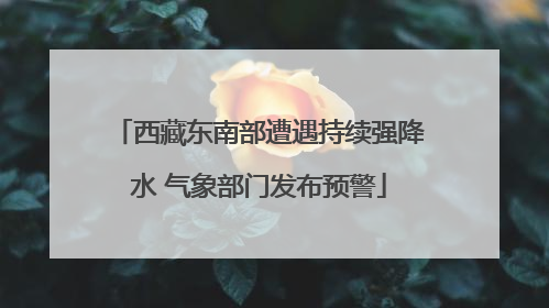西藏东南部遭遇持续强降水 气象部门发布预警