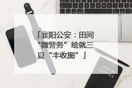 襄阳公安：田间“微警务”绘就三夏“丰收图”