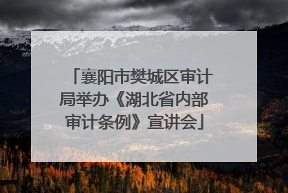 襄阳市樊城区审计局举办《湖北省内部审计条例》宣讲会