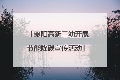 襄阳高新二幼开展节能降碳宣传活动