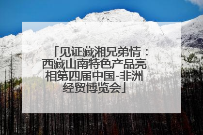 见证藏湘兄弟情：西藏山南特色产品亮相第四届中国-非洲经贸博览会