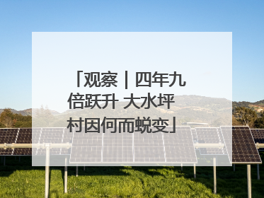 观察｜四年九倍跃升 大水坪村因何而蜕变