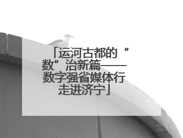 运河古都的“数”治新篇——数字强省媒体行走进济宁