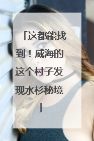 这都能找到！威海的这个村子发现水杉秘境