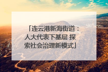 连云港新海街道：人大代表下基层 探索社会治理新模式