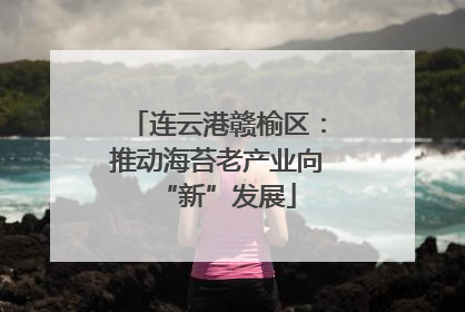 连云港赣榆区：推动海苔老产业向“新”发展
