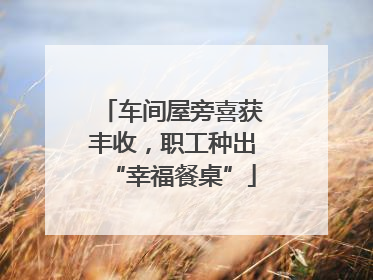 车间屋旁喜获丰收，职工种出“幸福餐桌”