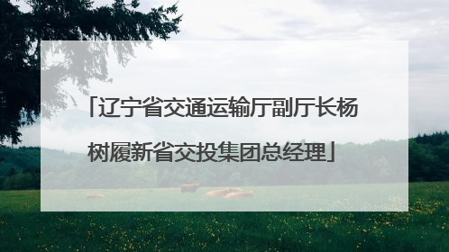 辽宁省交通运输厅副厅长杨树履新省交投集团总经理