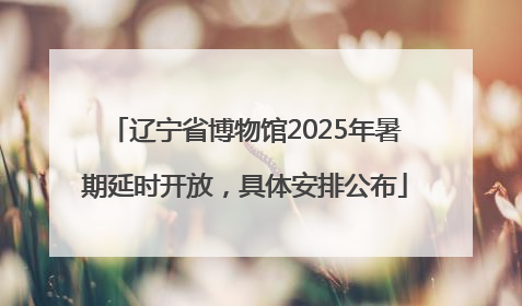 辽宁省博物馆2025年暑期延时开放，具体安排公布
