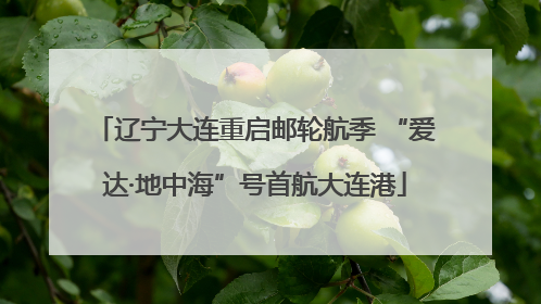 辽宁大连重启邮轮航季 “爱达·地中海”号首航大连港