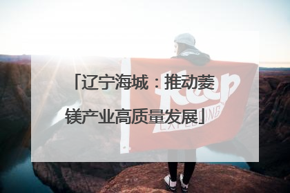 辽宁海城：推动菱镁产业高质量发展