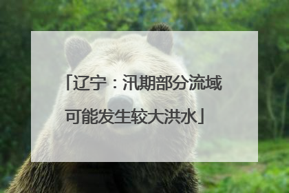 辽宁：汛期部分流域可能发生较大洪水