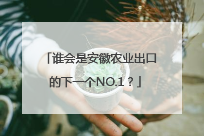 谁会是安徽农业出口的下一个NO.1？