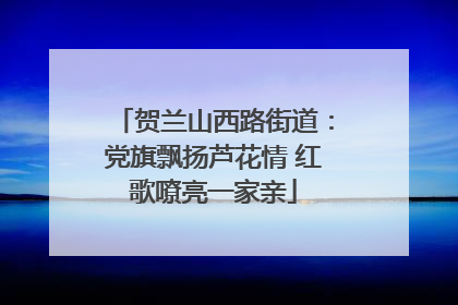 贺兰山西路街道：党旗飘扬芦花情 红歌嘹亮一家亲