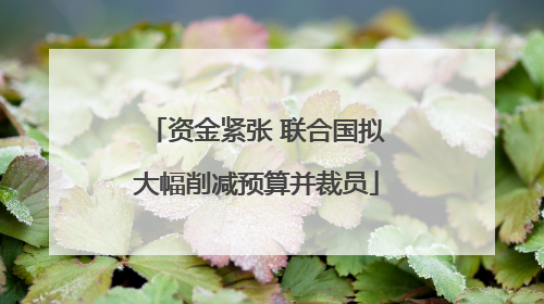 资金紧张 联合国拟大幅削减预算并裁员