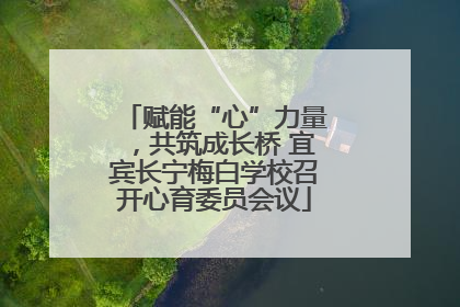 赋能“心”力量，共筑成长桥 宜宾长宁梅白学校召开心育委员会议