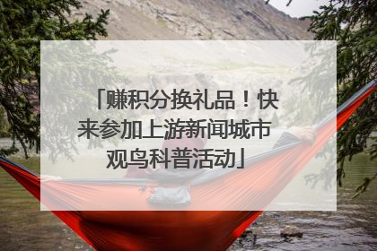 赚积分换礼品！快来参加上游新闻城市观鸟科普活动