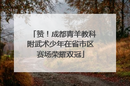 赞！成都青羊教科附武术少年在省市区赛场荣耀双冠