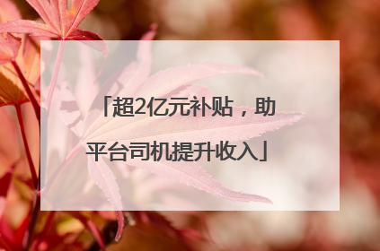 超2亿元补贴，助平台司机提升收入